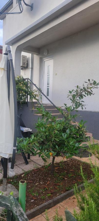Appartement Sonia Njivice